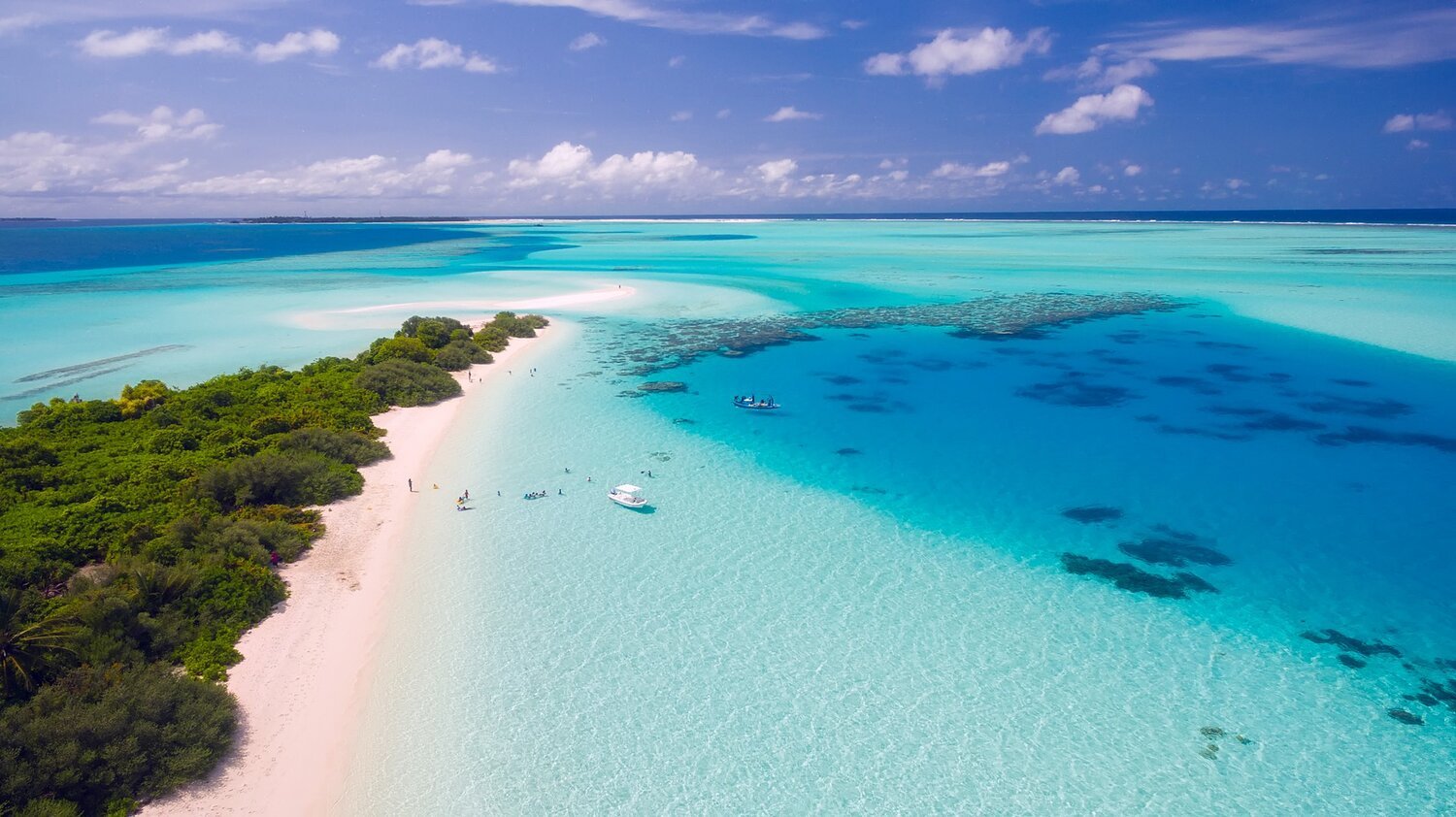 Your Ticket to Paradise!