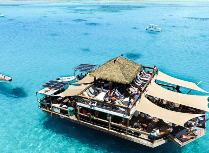 Your Ticket to Paradise!