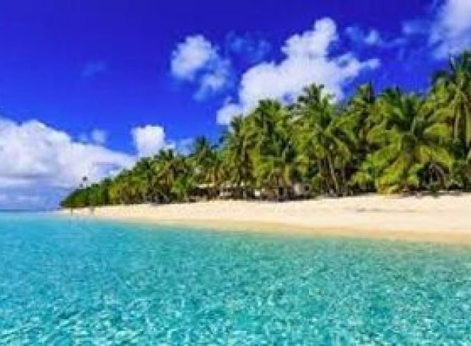 Your Ticket to Paradise!