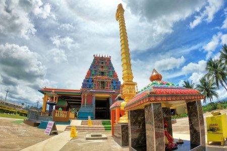 Nadi Full Day Tour