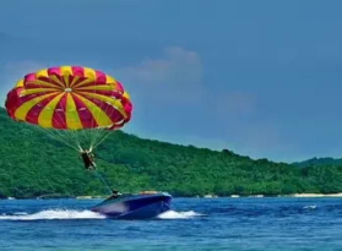 Your Ticket to Paradise!