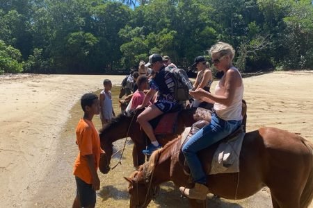 Coral Coast Horse Riding