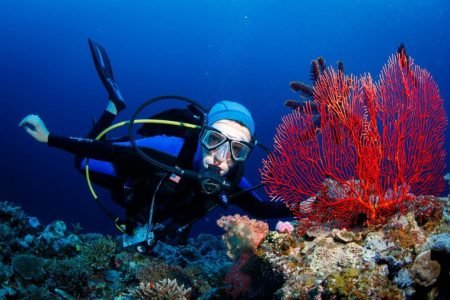 Fiji’s Top Water Adventures Beyond Snorkeling